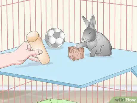 Imagen titulada Prepare a Rabbit Cage Step 13