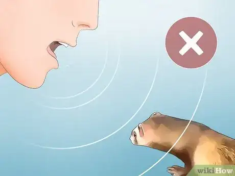 Imagen titulada Care for a Ferret Step 11