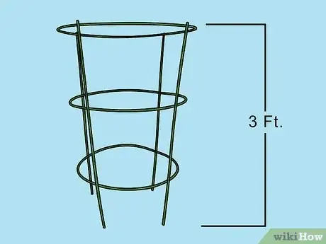 Imagen titulada Support Tomato Plants in Pots Step 5