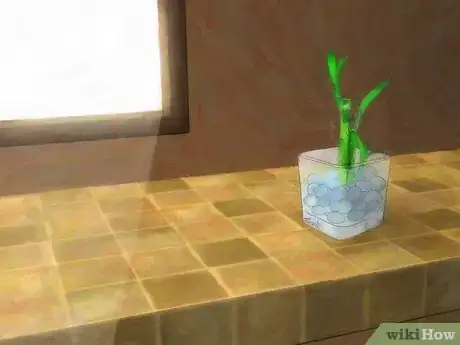 Imagen titulada Grow Lucky Bamboo Step 5