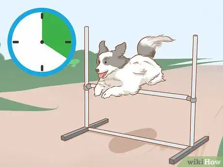 Imagen titulada Teach Your Dog to Jump Step 13