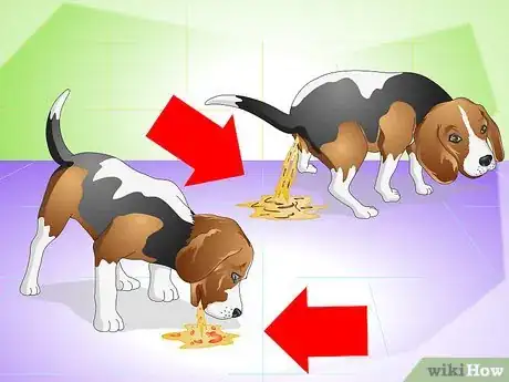 Imagen titulada Cure a Dog's Stomach Ache Step 14
