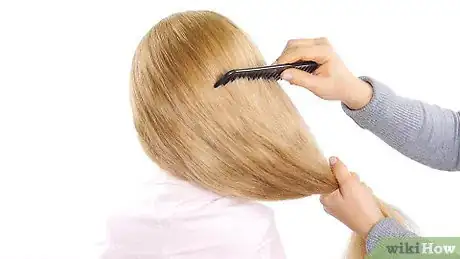 Imagen titulada French Twist Hair Step 1