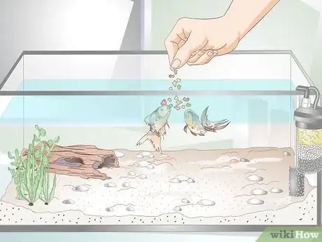 Imagen titulada Lower Ammonia Levels in a Fish Tank if They Are Not Very High Step 3