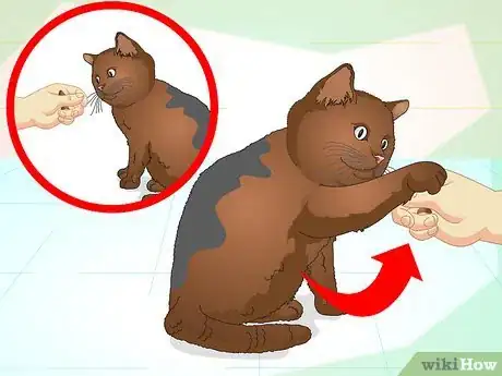 Imagen titulada Teach Your Cat to Do Tricks Step 10