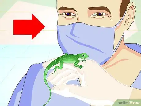 Imagen titulada Take Care of a Chinese Water Dragon Step 4