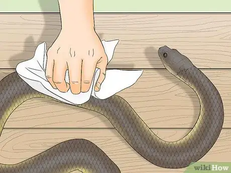 Imagen titulada Remove Duct Tape from a Snake Step 12