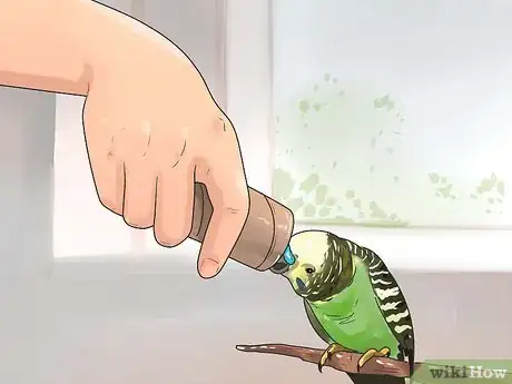 Imagen titulada Stop a Budgie from Biting Step 5