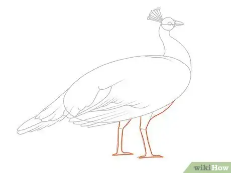 Imagen titulada Draw an Exotic Peacock Step 15