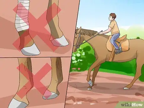 Imagen titulada Make a Horse Run Faster Step 3