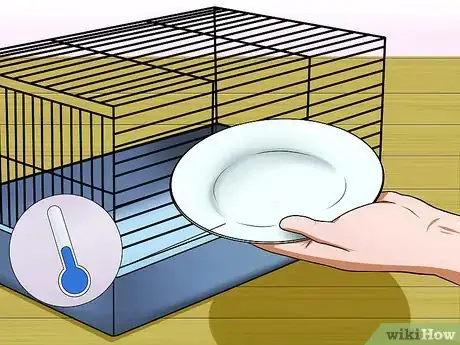 Imagen titulada Keep a Hamster Cool in Hot Weather Step 12