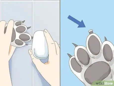 Imagen titulada Stop a Dog's Quick from Bleeding Step 10