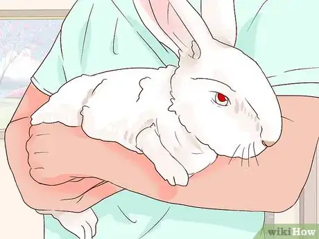 Imagen titulada Deal with a Sick Rabbit Step 7