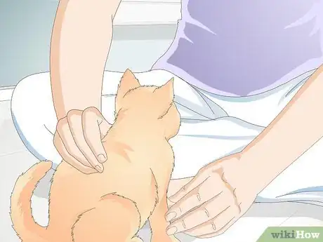 Imagen titulada Teach Your Cat to Give a Handshake Step 10