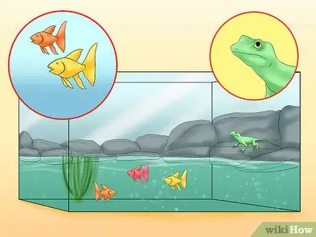 Imagen titulada Create Aquariums So Lizards and Fish Can Coexist Step 8