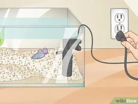 Imagen titulada Clean a Betta Fish Tank Step 2