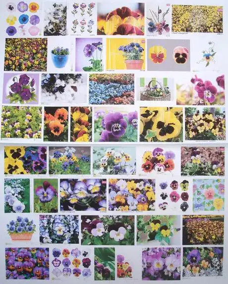 Imagen titulada Inspiringpansies