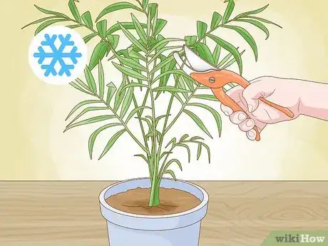 Imagen titulada Prune Houseplants Step 2