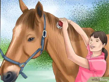 Imagen titulada Know if You Have What It Takes to Own a Horse Step 6