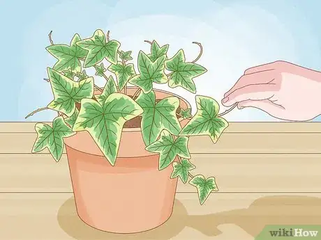 Imagen titulada Prune Houseplants Step 7