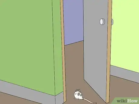 Imagen titulada Play with Your Pet Rat Step 12