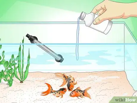 Imagen titulada Save a Dying Goldfish Step 11