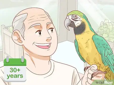 Imagen titulada Know if a Macaw Is Right for You Step 14