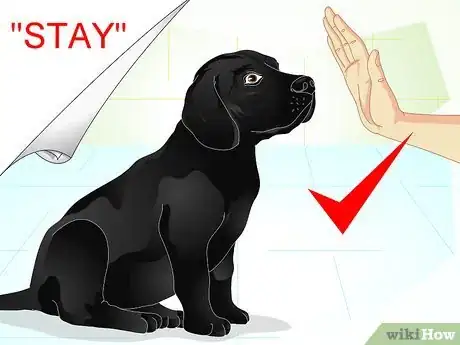 Imagen titulada Raise a Dog Step 22