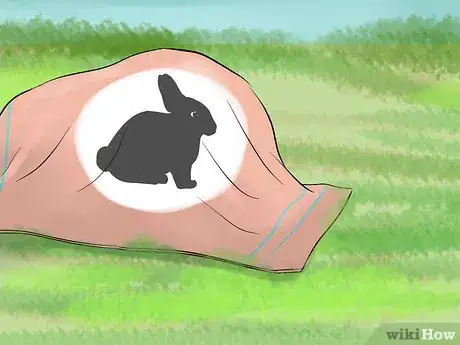 Imagen titulada Catch a Pet Rabbit Step 8