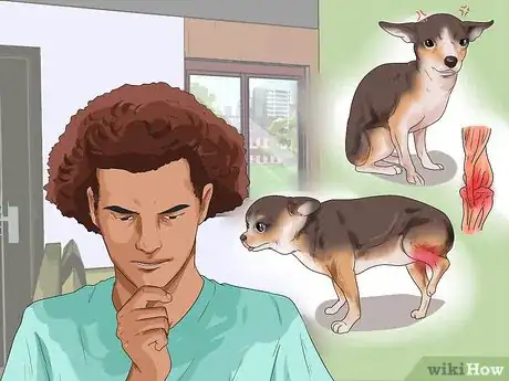 Imagen titulada Get Your Two Dogs to Stop Fighting Step 11