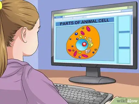 Imagen titulada Make an Animal Cell for a Science Project Step 2