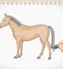 dibujar un caballo sencillo