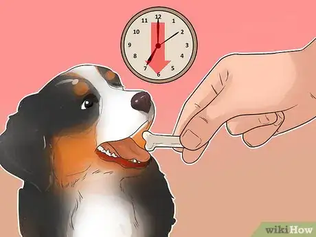 Imagen titulada Train Bernese Mountain Dogs Step 3