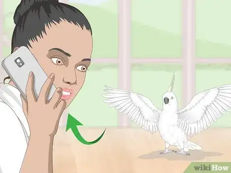 Imagen titulada Deal with an Aggressive Cockatoo Step 5