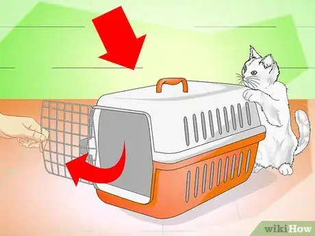 Imagen titulada Get a Cat Into a Pet Carrier Step 2