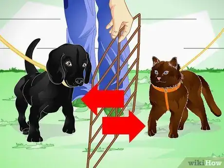 Imagen titulada Raise a Dog Step 12