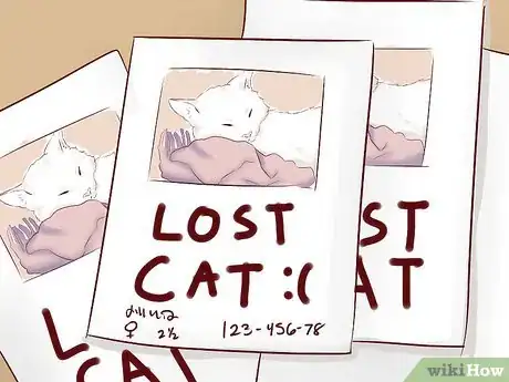 Imagen titulada Find a Cat That Might Be Hiding Step 6