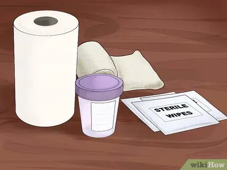 Imagen titulada Help a Male Child Provide a Urine Sample Step 19