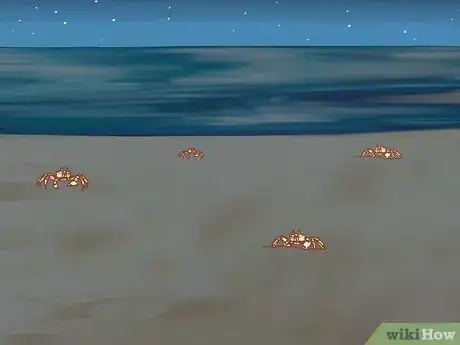 Imagen titulada Catch a Ghost Crab Step 9