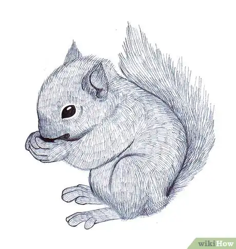 Imagen titulada Draw a Squirrel Step 9