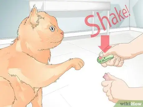 Imagen titulada Teach Your Cat to Give a Handshake Step 13