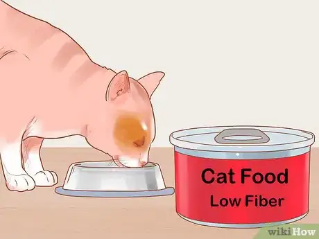 Imagen titulada Treat Excessive Flatulence in Cats Step 3