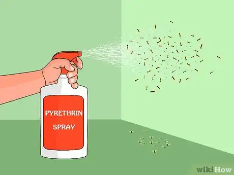 Imagen titulada Get Rid of Fruit Flies Step 14