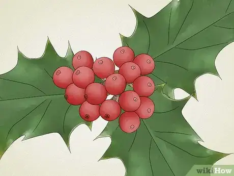 Imagen titulada Identify Common Poisonous Berries in North America Step 16