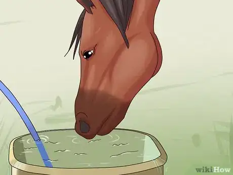 Imagen titulada Help a Horse With Choke Step 8