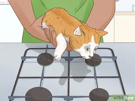 Imagen titulada Keep a Cat Off a Stove Step 5