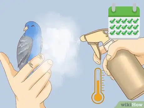 Imagen titulada Stop Feather Plucking in Parakeets Step 8