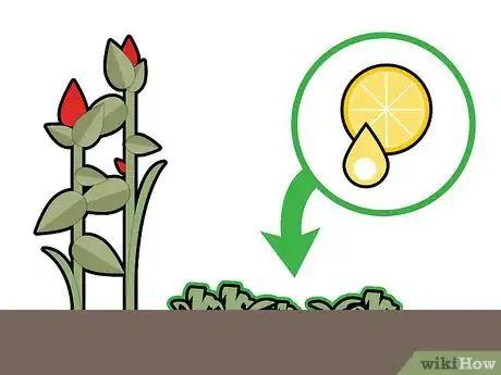 Imagen titulada Kill Grass Invading a Flower Bed Step 18