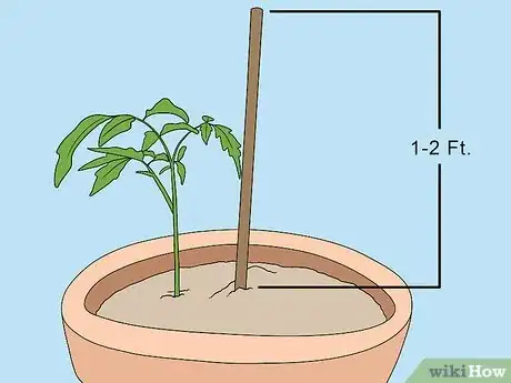 Imagen titulada Support Tomato Plants in Pots Step 8