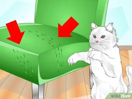 Imagen titulada Get Your Cat to Use a Scratching Post Step 12